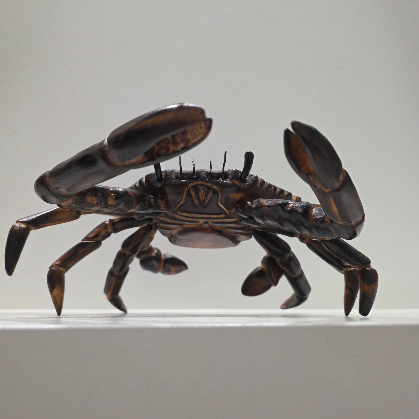 Saltwood Crab