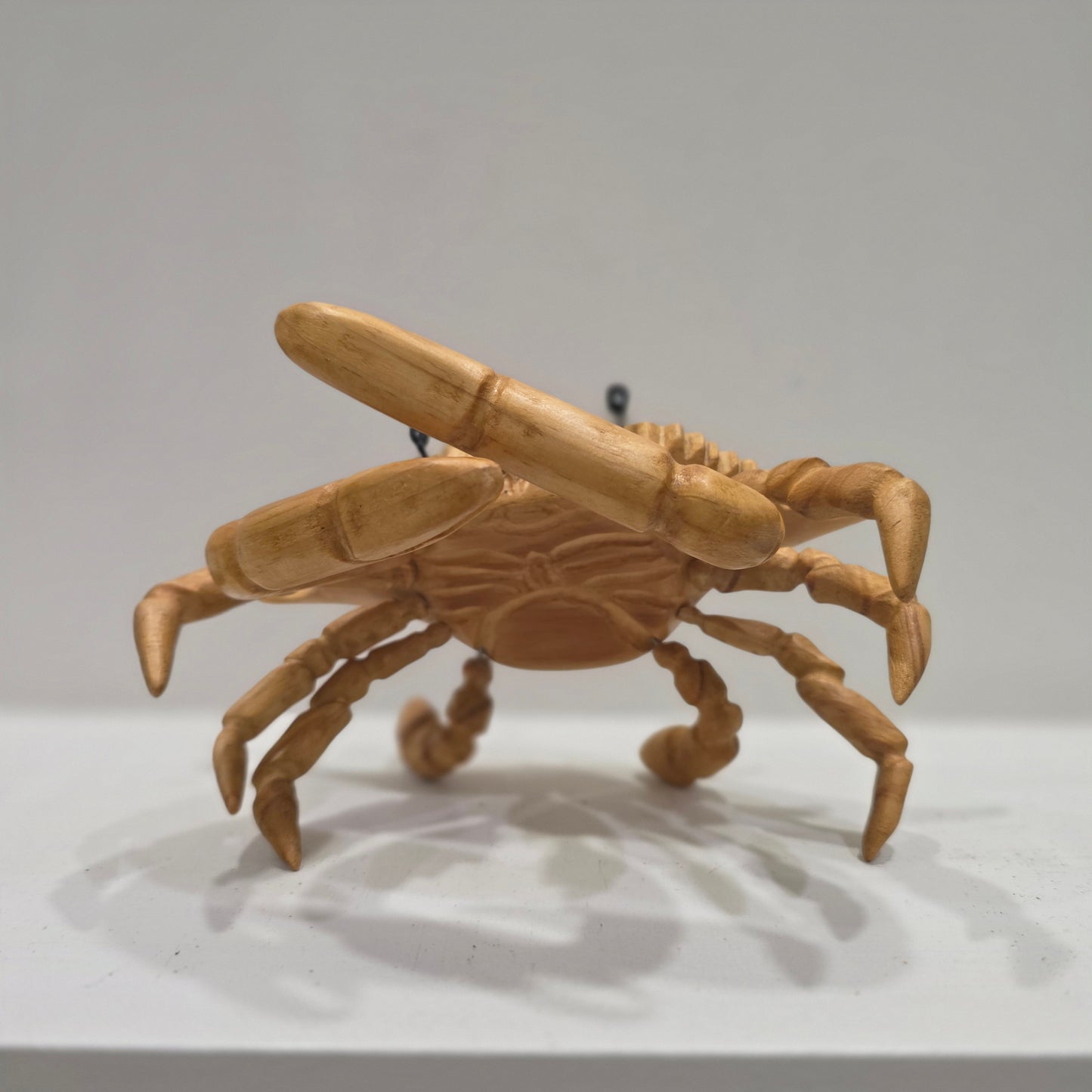 Tidal Traveller