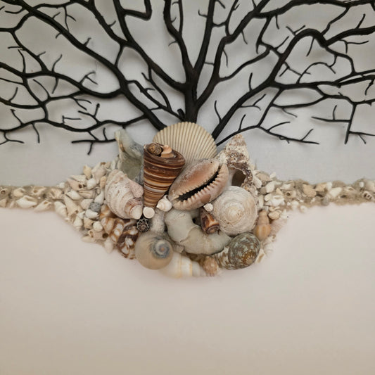 Anchored in Stillness