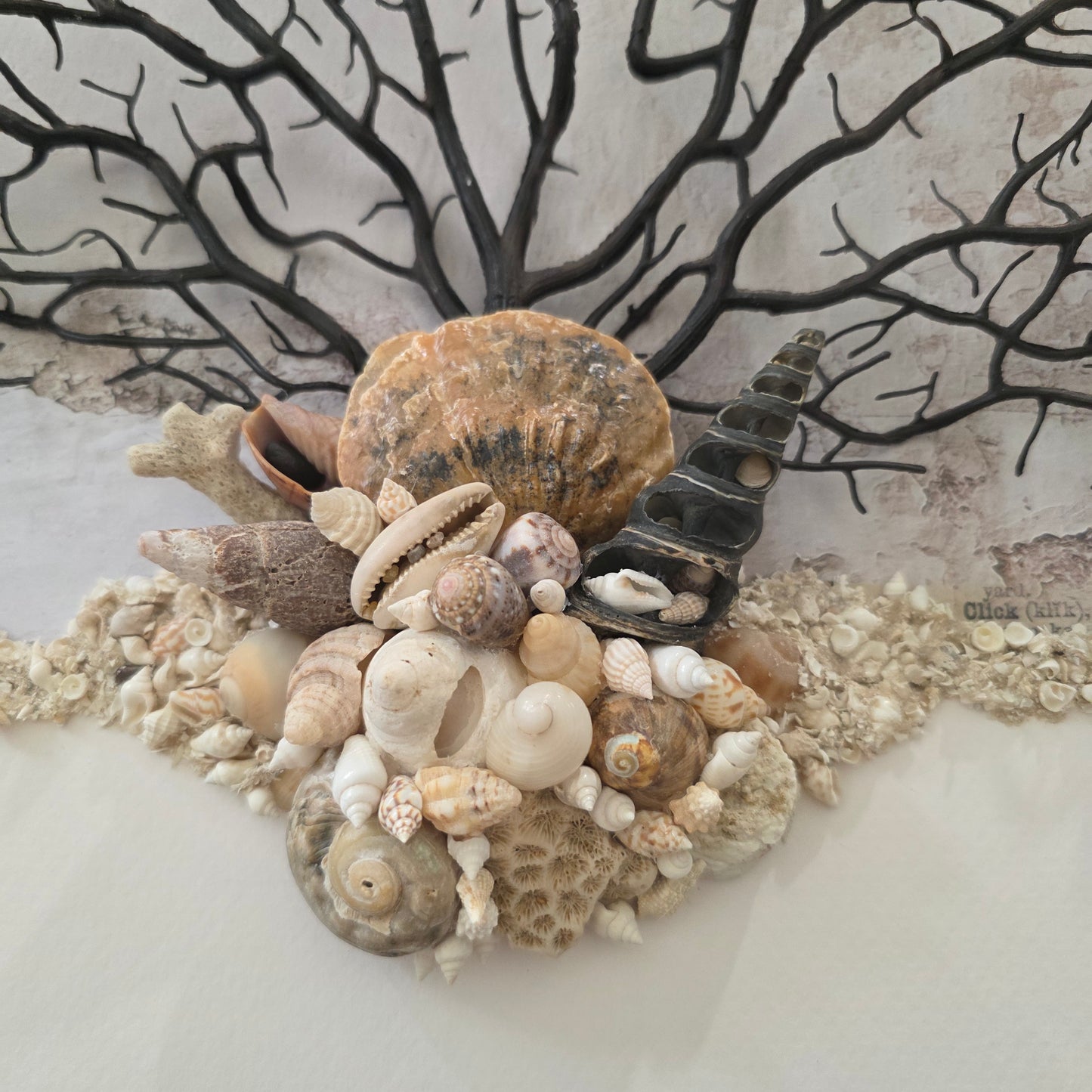 Amber Shore
