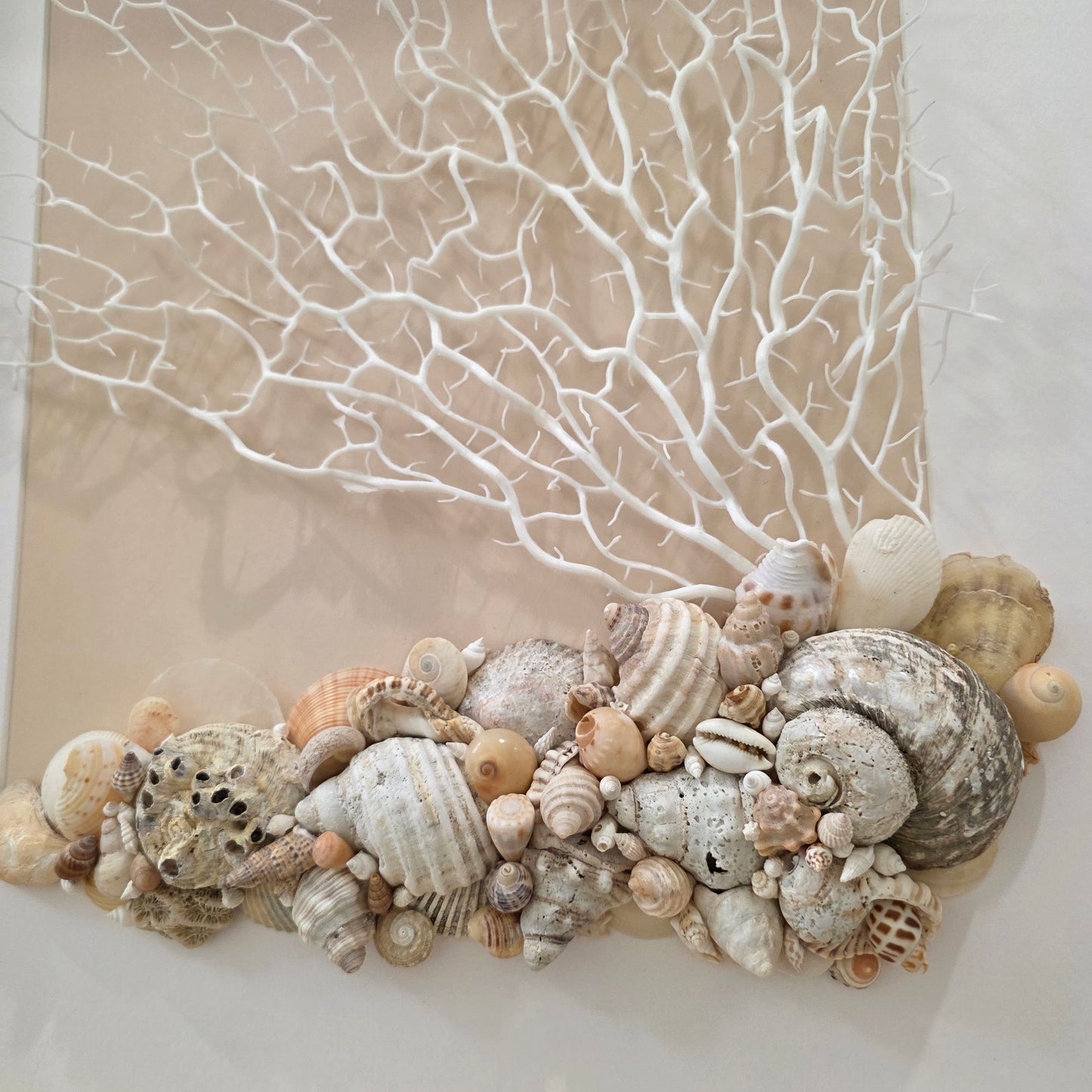 Coastal Cascade