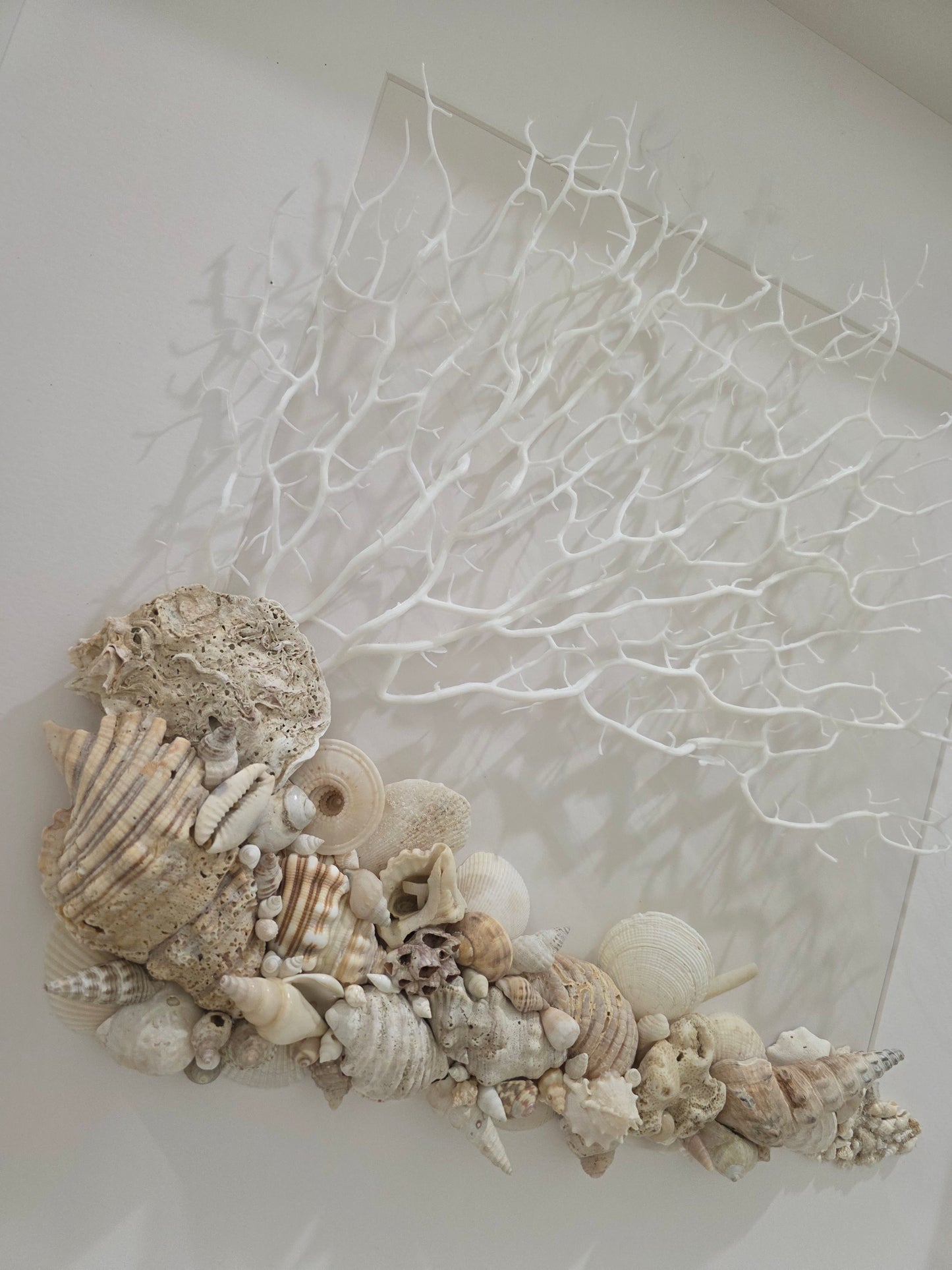 Ivory Wings
