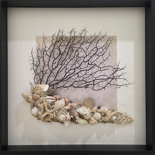 Shoreline Journey