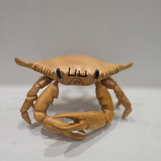 Tidal Traveller
