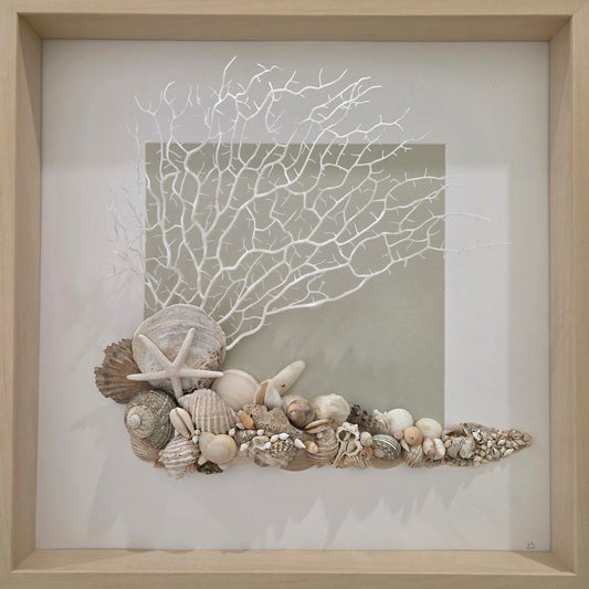 Shell Tides