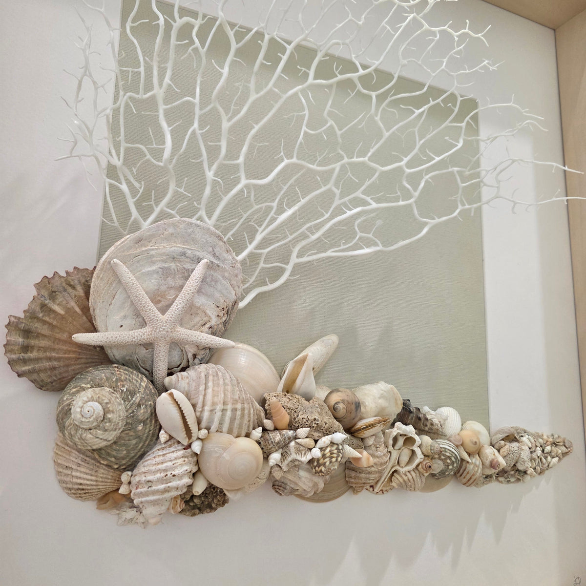 Shell Tides