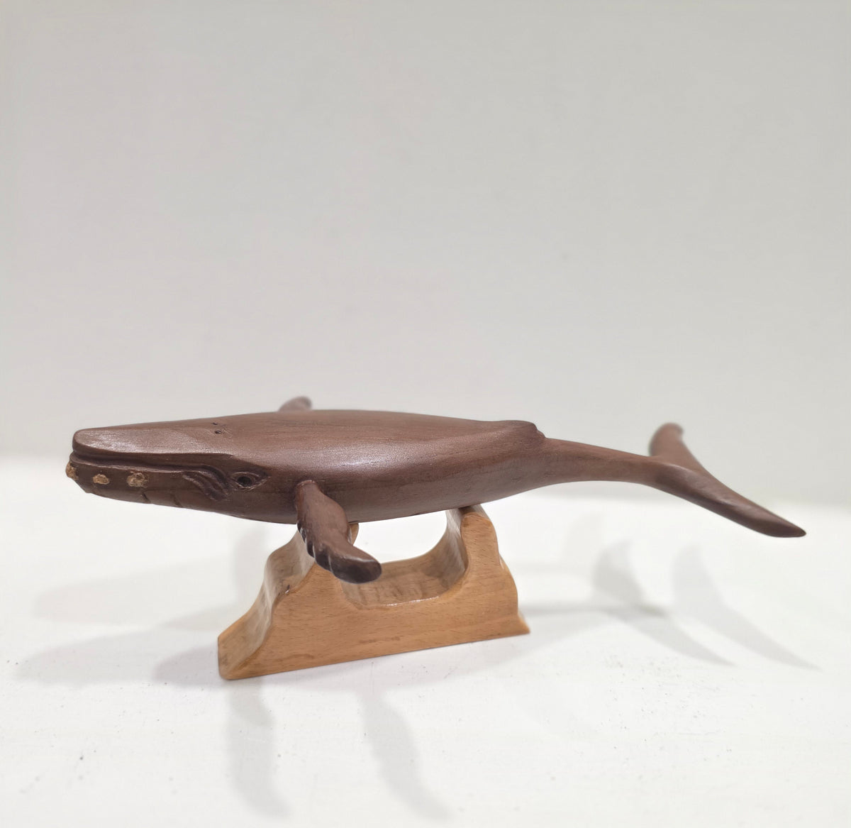 Barnacle Whale