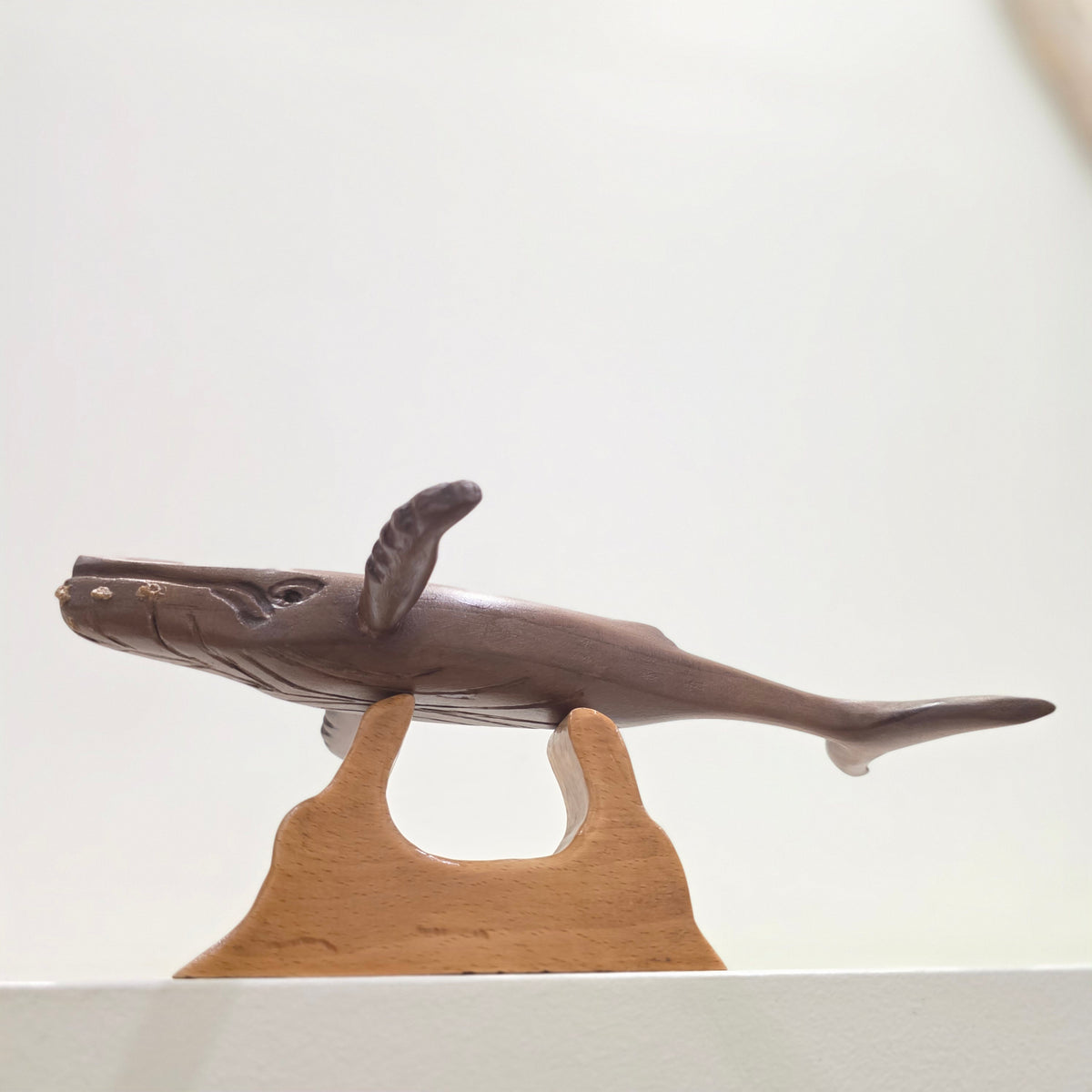 Barnacle Whale