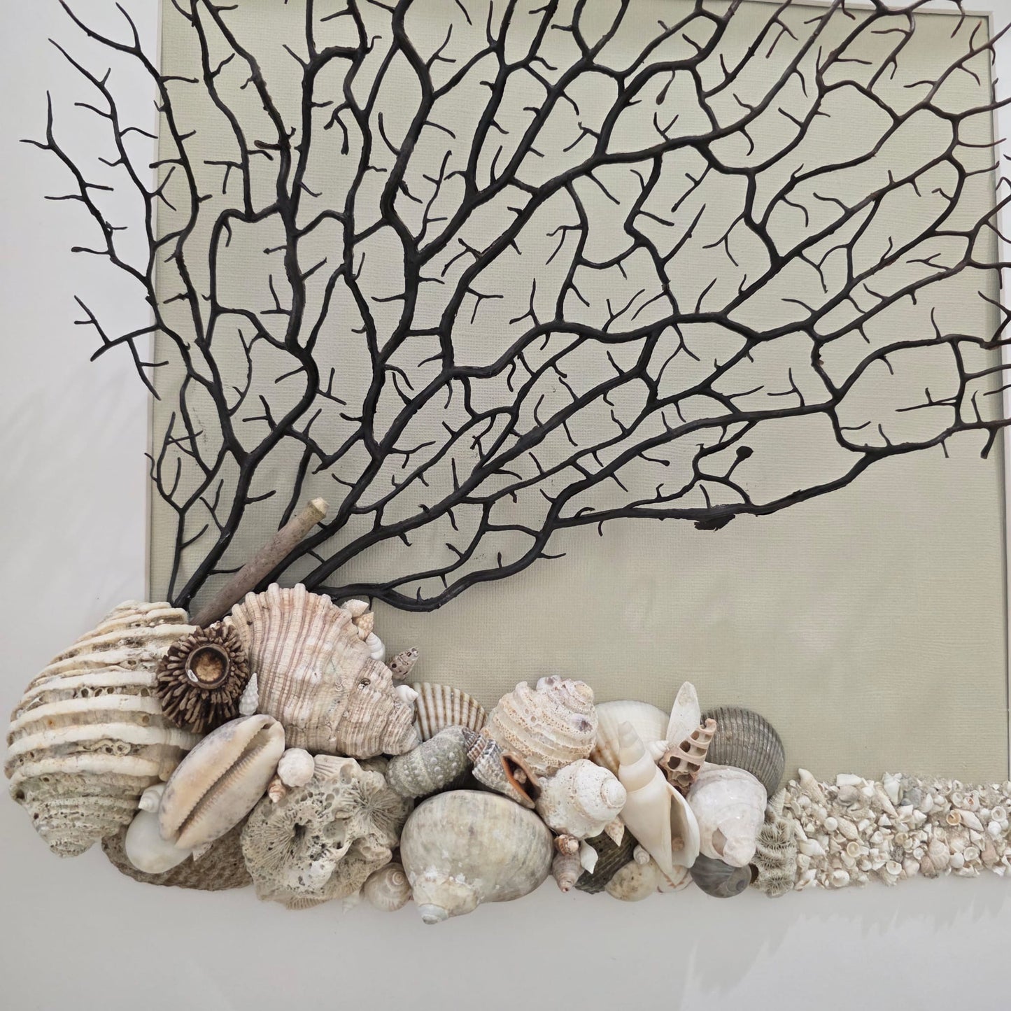 Neutral shore