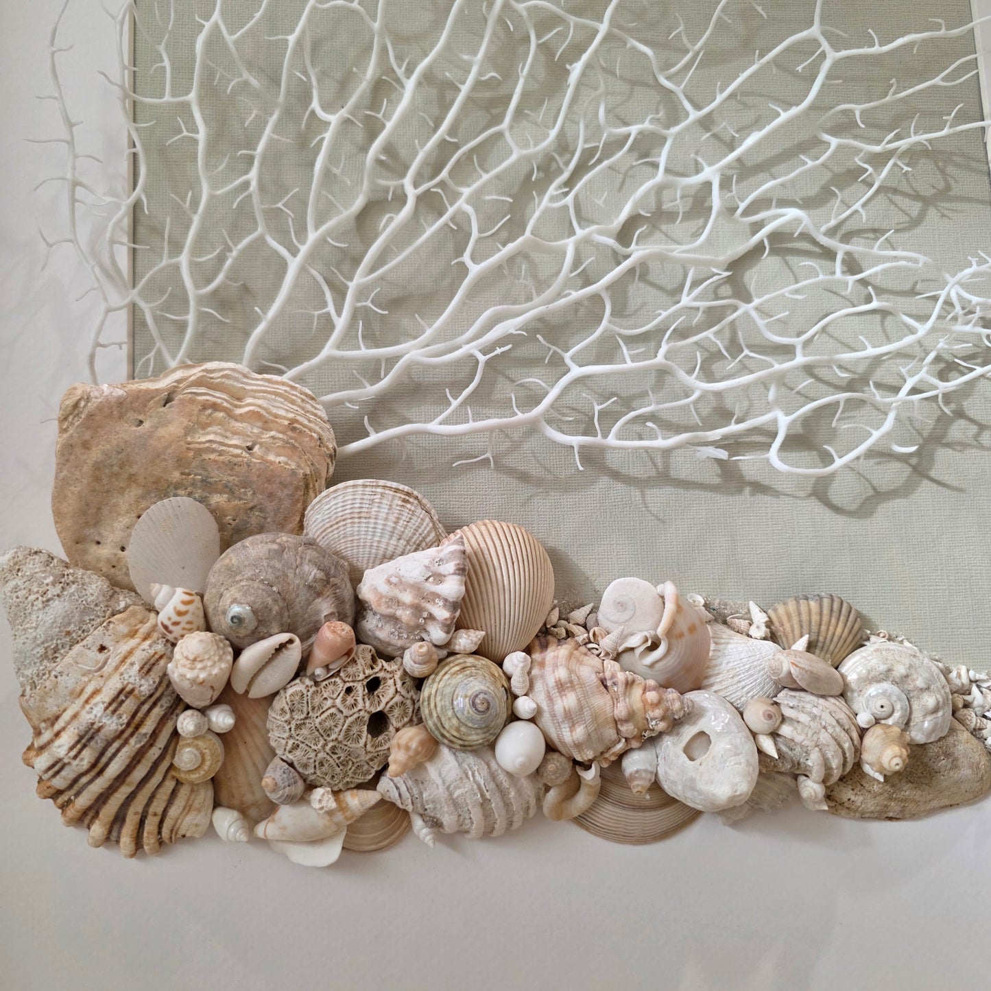Coastal Drift