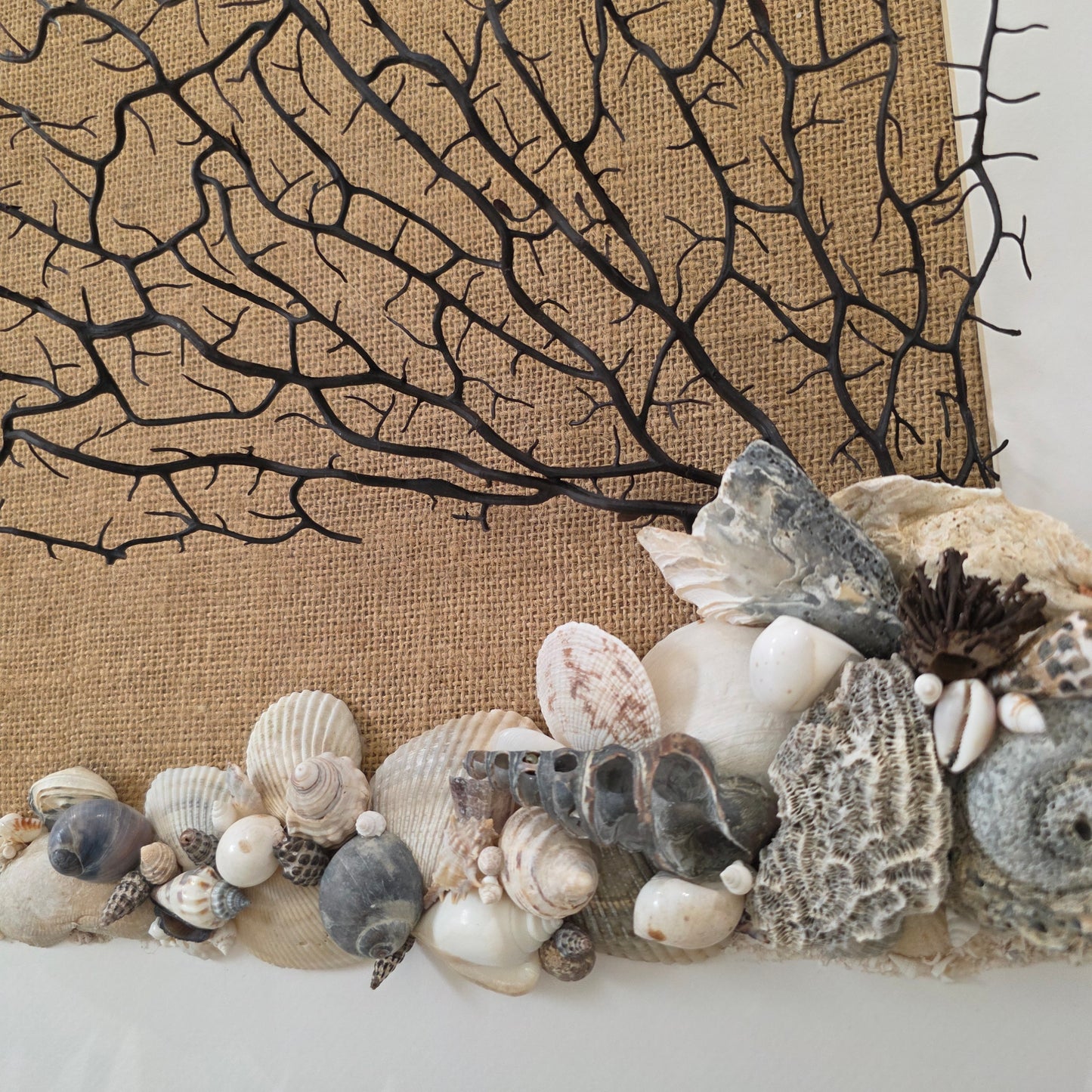 Shoreline Cascade