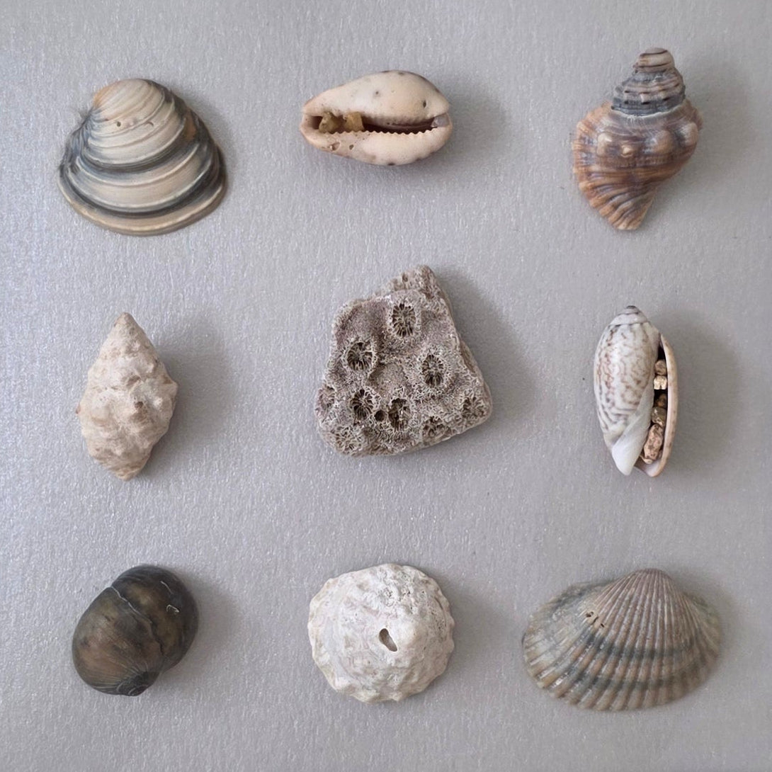 Silver Reef